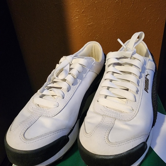 Puma - Picture 3 of 5